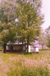alt8